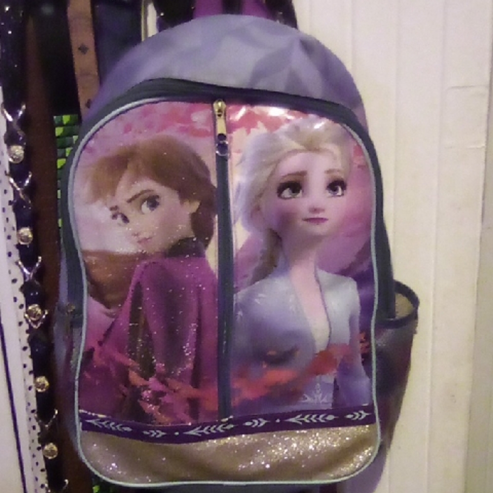 Disney Frozen II , Large Backpack With Mesh Pouches And  Extra Storage In Front